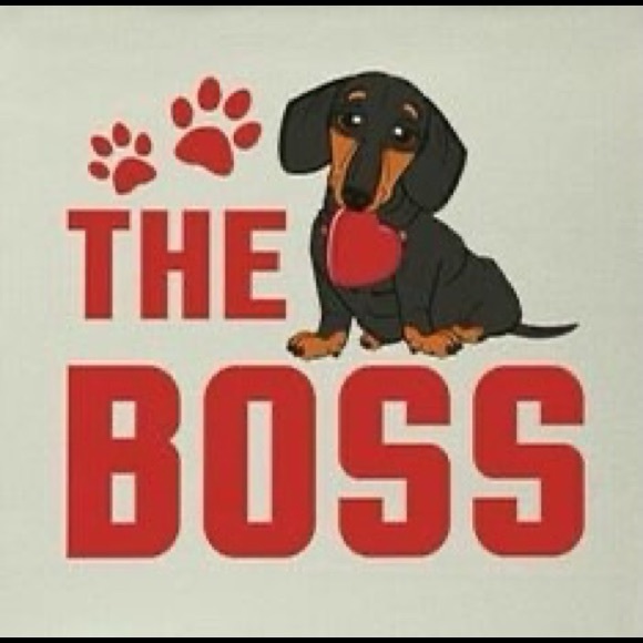 Meet your Poshers, Tracey and BeanieDoodle - Picture 3 of 15